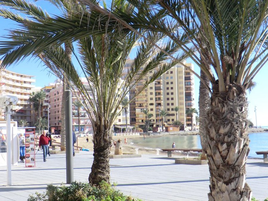 Apartamento - Playa del Cura 2